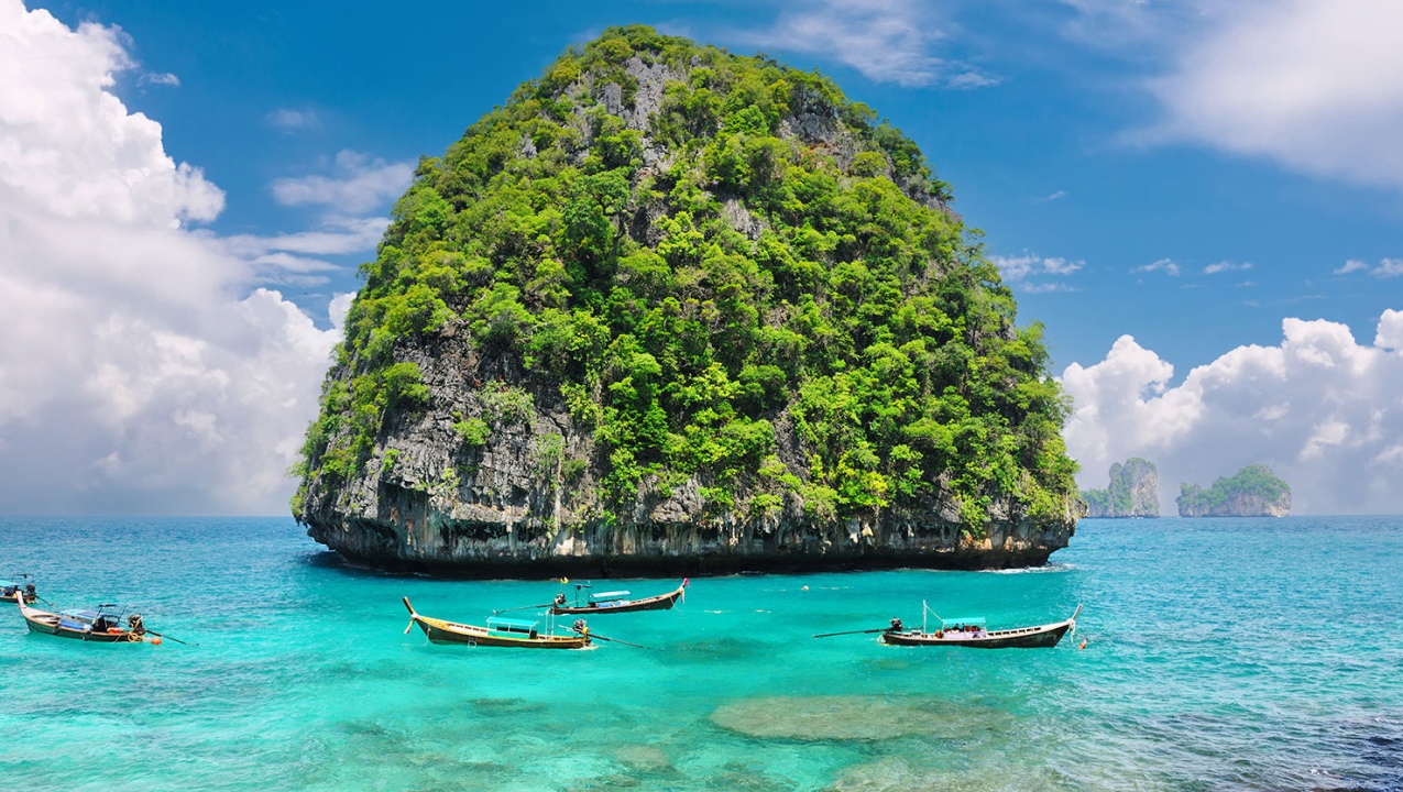 ADA to USD – Live Cardano Price Converter