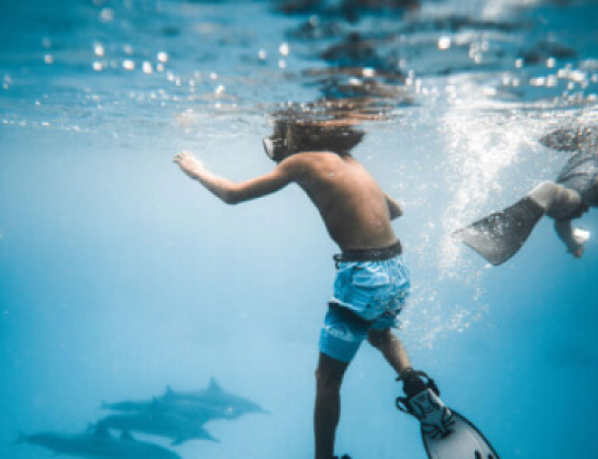 ADA USD Exchange Rate – Cardano to Dollar Rate Today